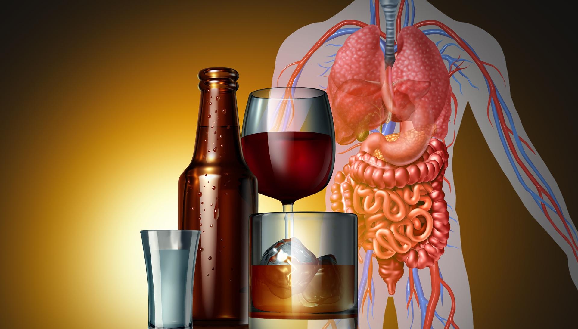 Symbolbild Alkohol und menschlicher Körper mit Organen | Alkoholunverträglichkeit Test